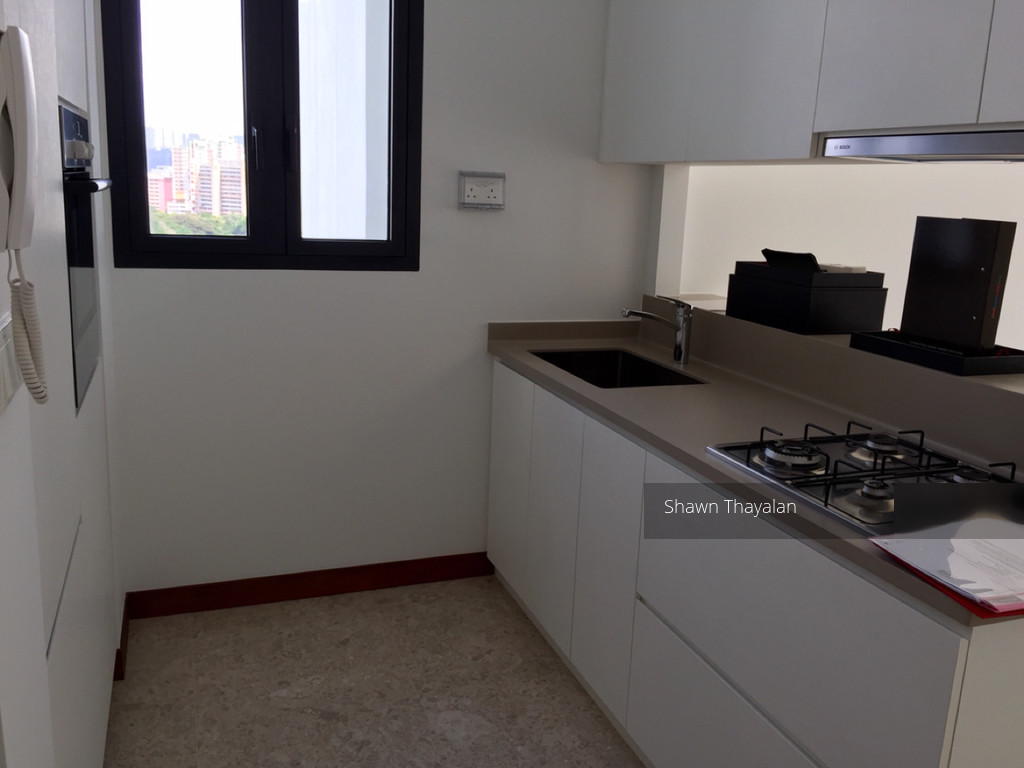 18 Woodsville (D13), Apartment #117516282